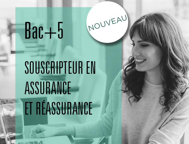 souscripteur en assurance et réassurance - bac+5