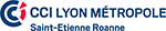 cci_lyon
