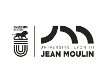 Université Lyon 3