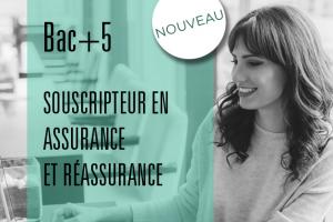 souscripteur en assurance et réassurance - bac+5