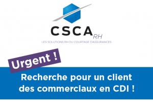 csca rh recherche des commerciaux