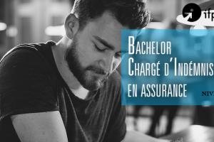 Bachelor CIAss ex BIS