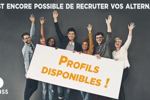 recruter alternants stagiaire assurance